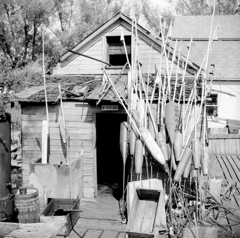 Commercial fishing 1943-1961 - Image 54