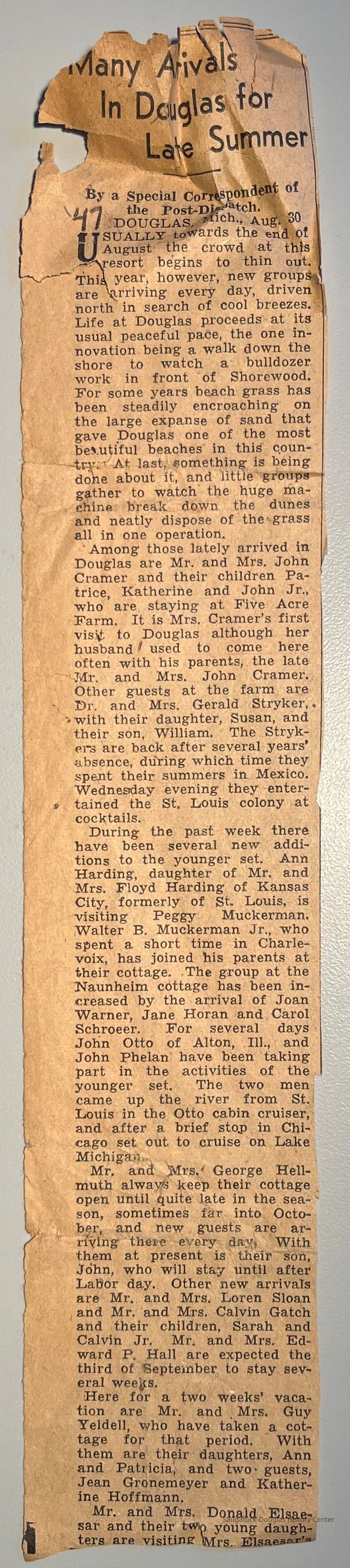          Shorewood beach grass removal picture number 1
   