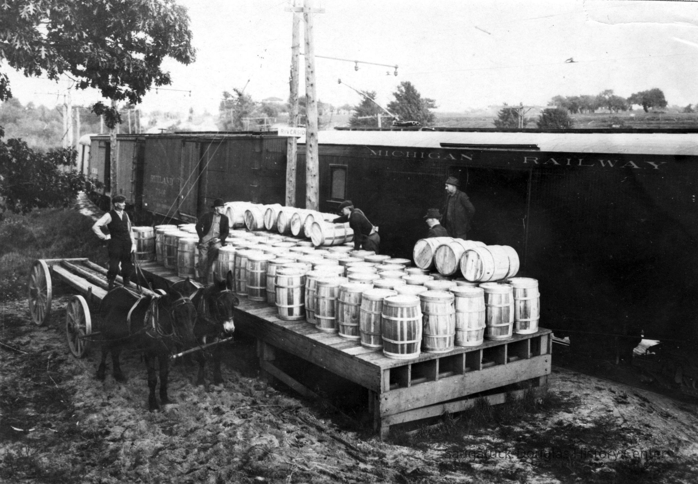 96 28 1 Loading fruit cars.jpg 846KB; Box 31, envelope 96-28-1
Two men standing on a flat bed wagon, hitched to a pair of mules or horses, look to a group of three men on a platform filled with wooden barrels. Alongside the platform is a Michigan Railway car. The men could be unloading empty barrels or loading barrels full of apples.