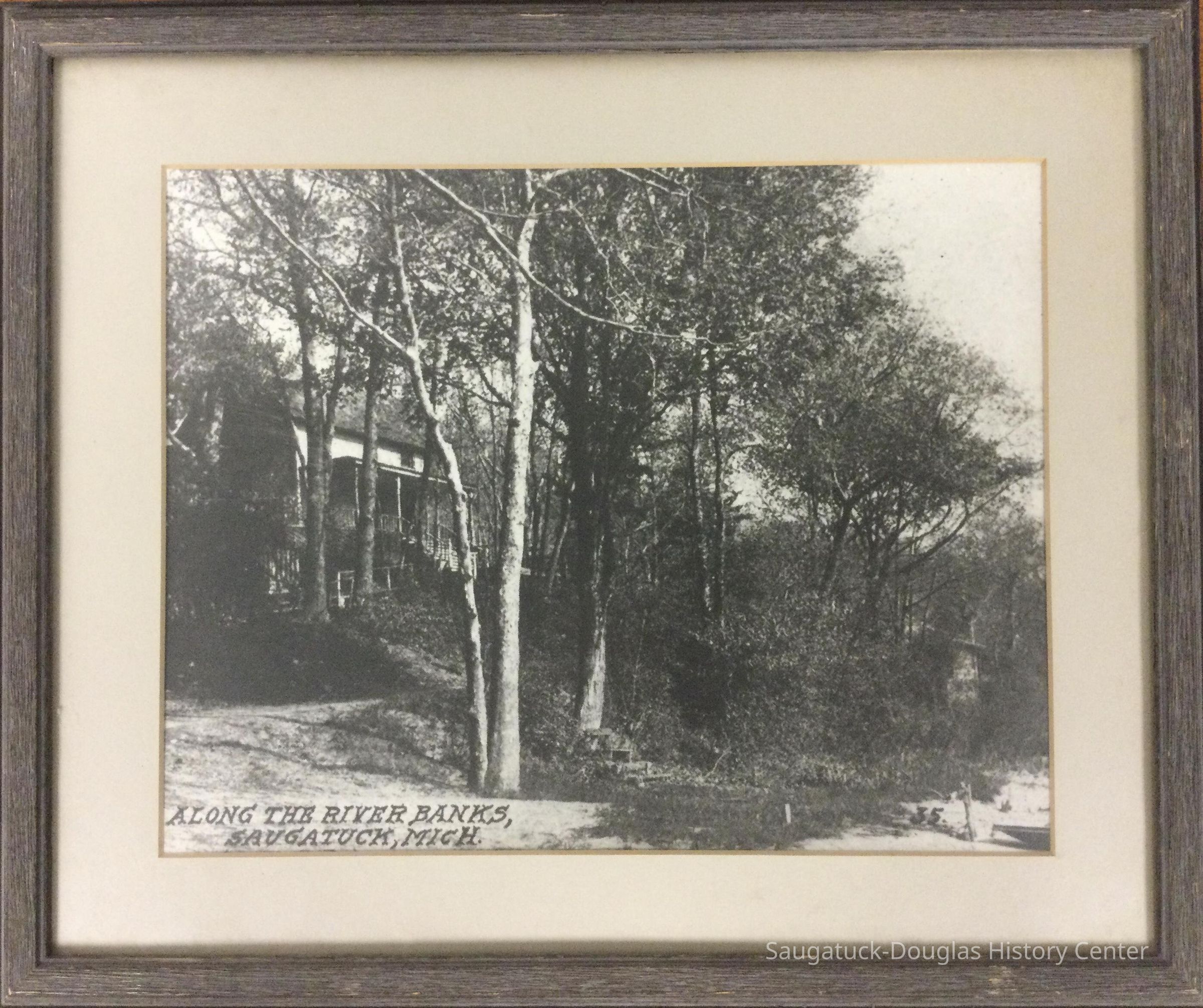 Postcard photo enlargement of a nature scene on the river banks of Saugatuck