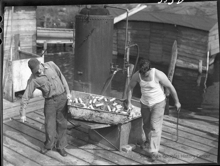 Commercial fishing 1943-1961 - Image 13