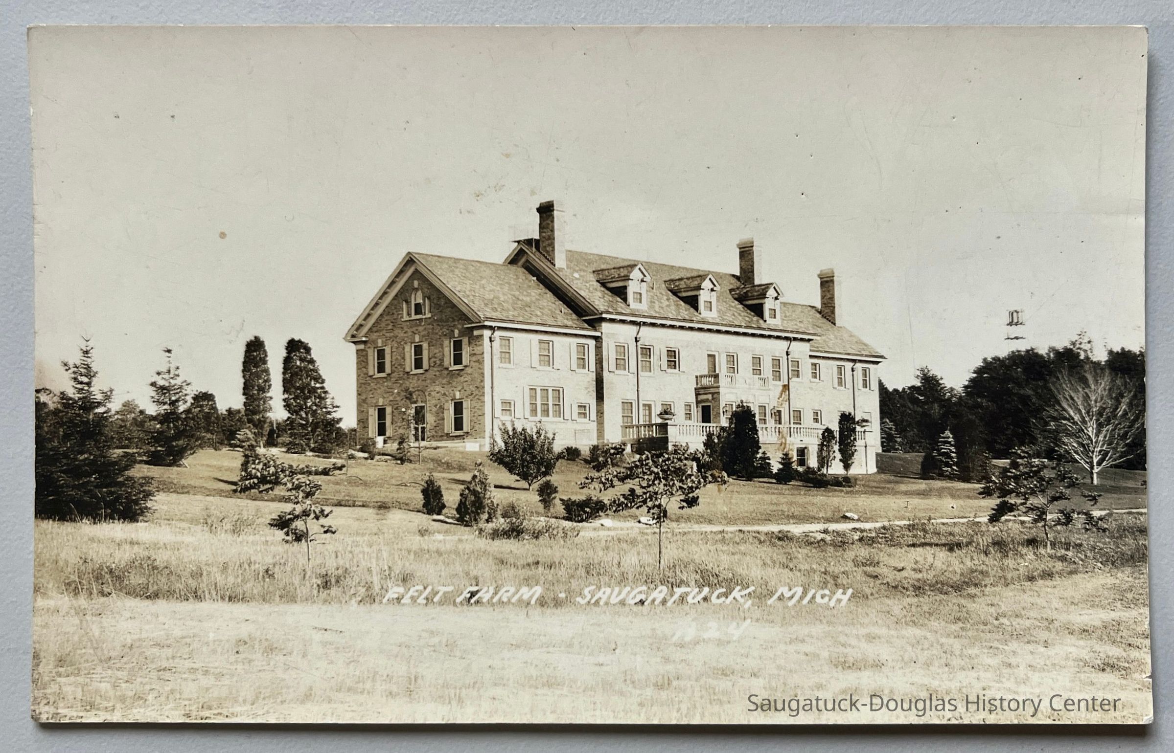 Felt Farm picture number 1