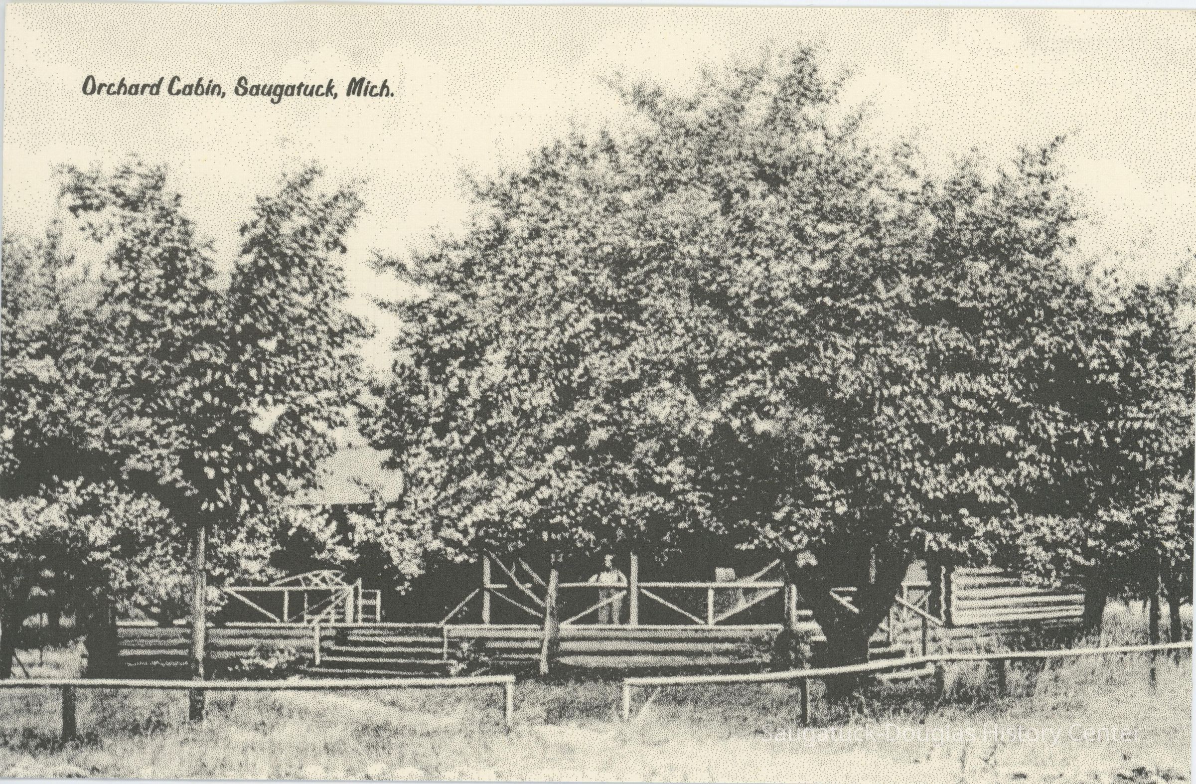          Orchard Cabin Postcard
   