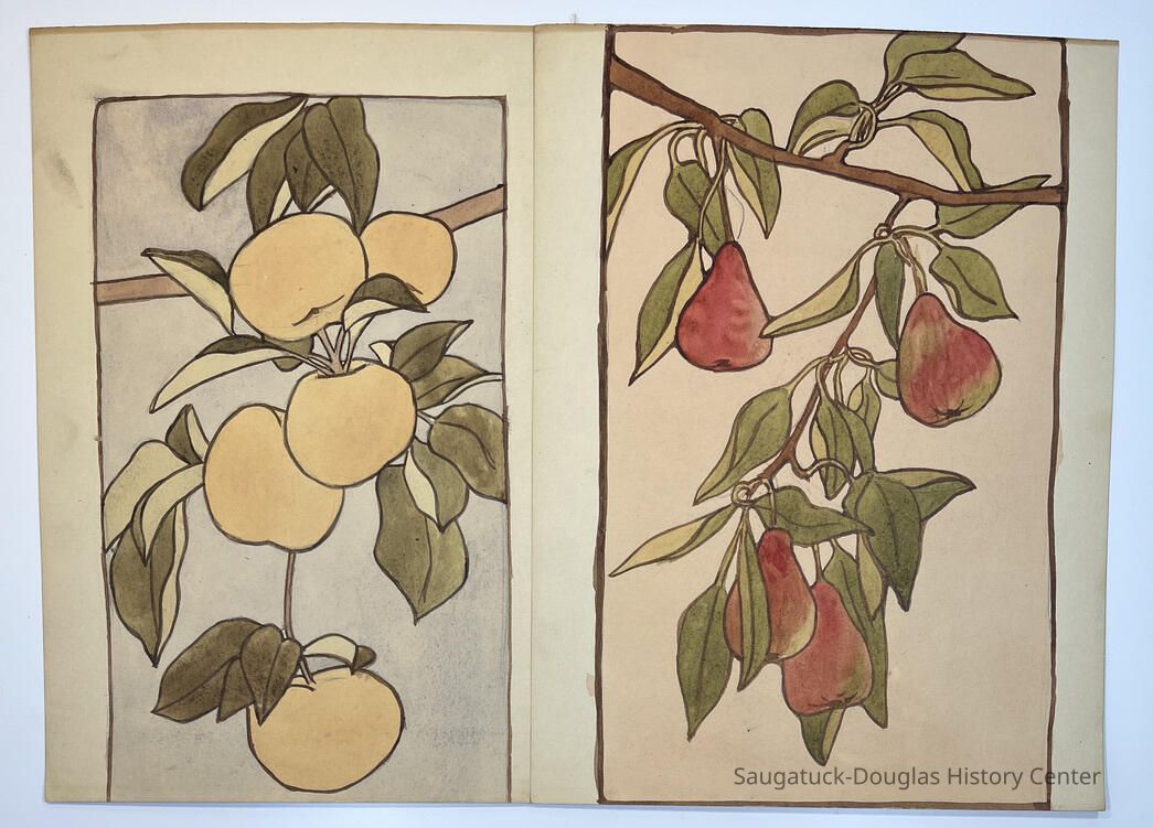         Celia Gamble botanical studies picture number 1
   