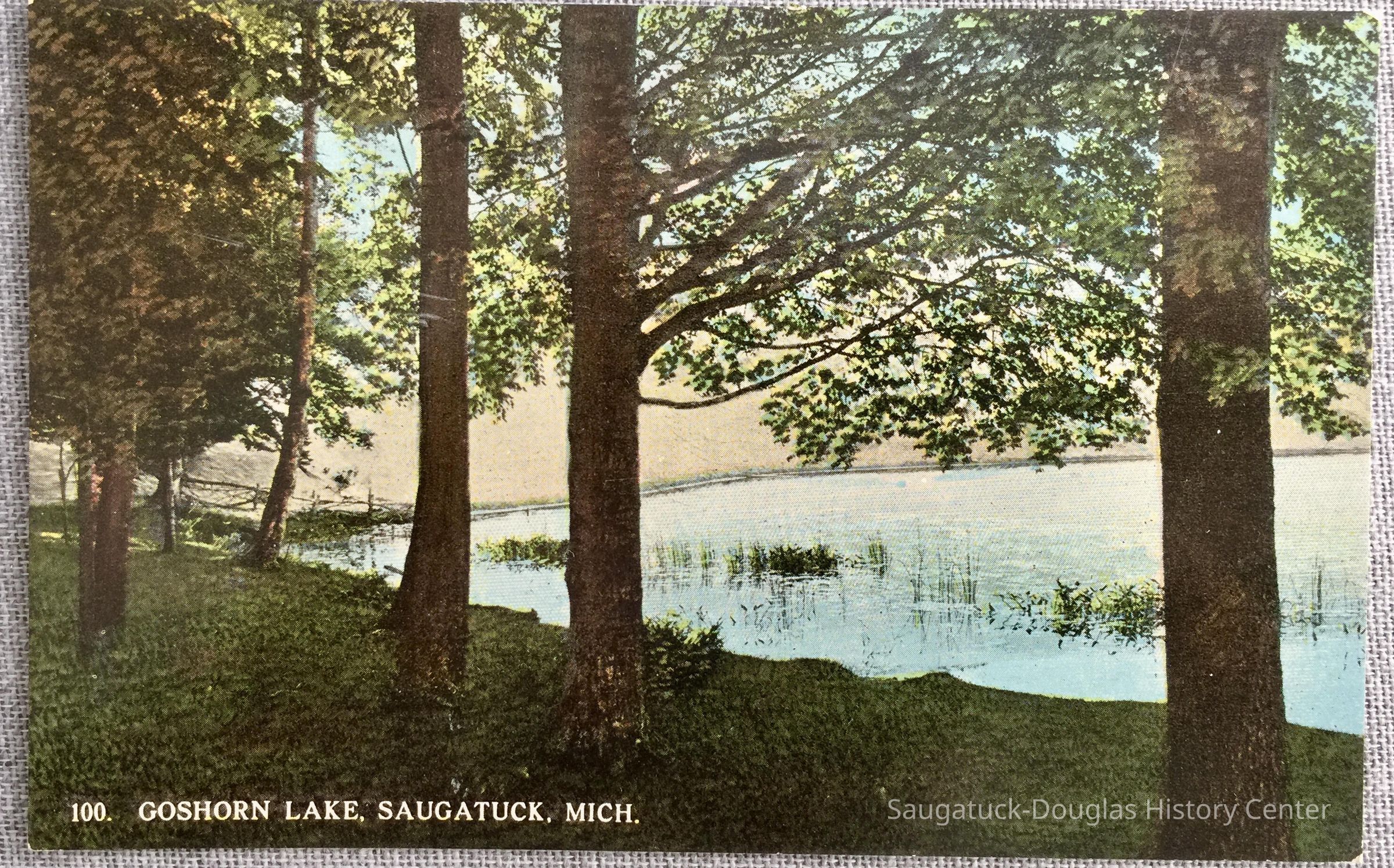Goshorn Lake 100 picture number 1