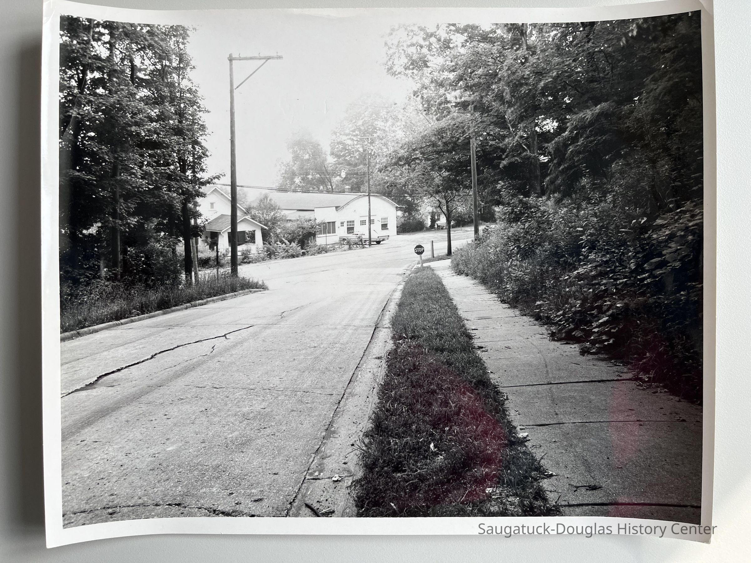 Allegan Street hill toward Lake Street, 1967 picture number 1
