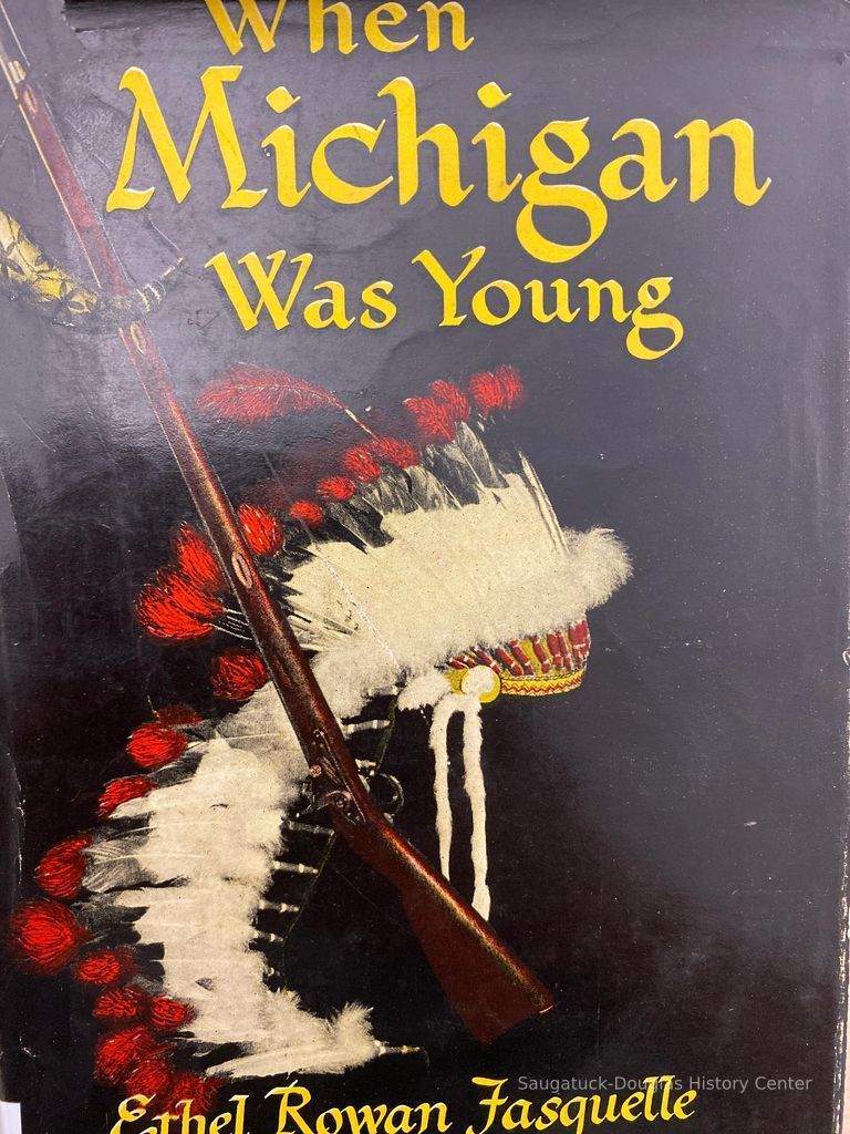          When Michigan was young; Book jacket
   