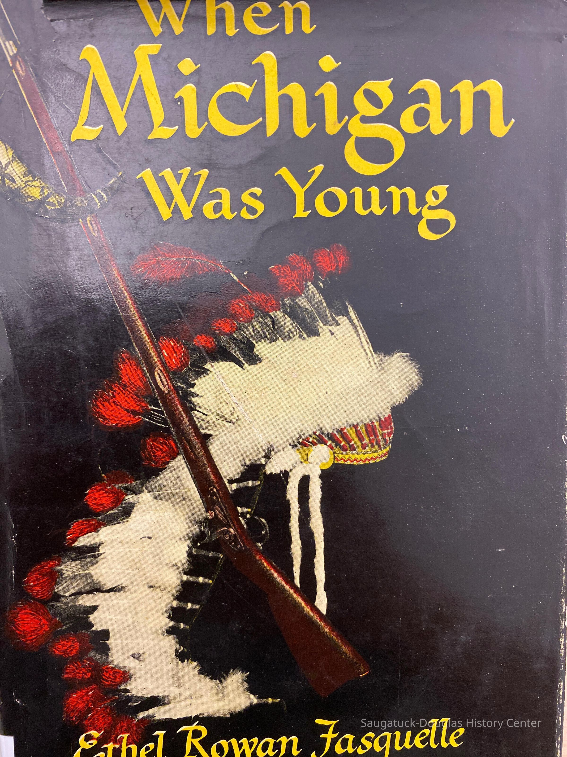 When Michigan was young; Book jacket
