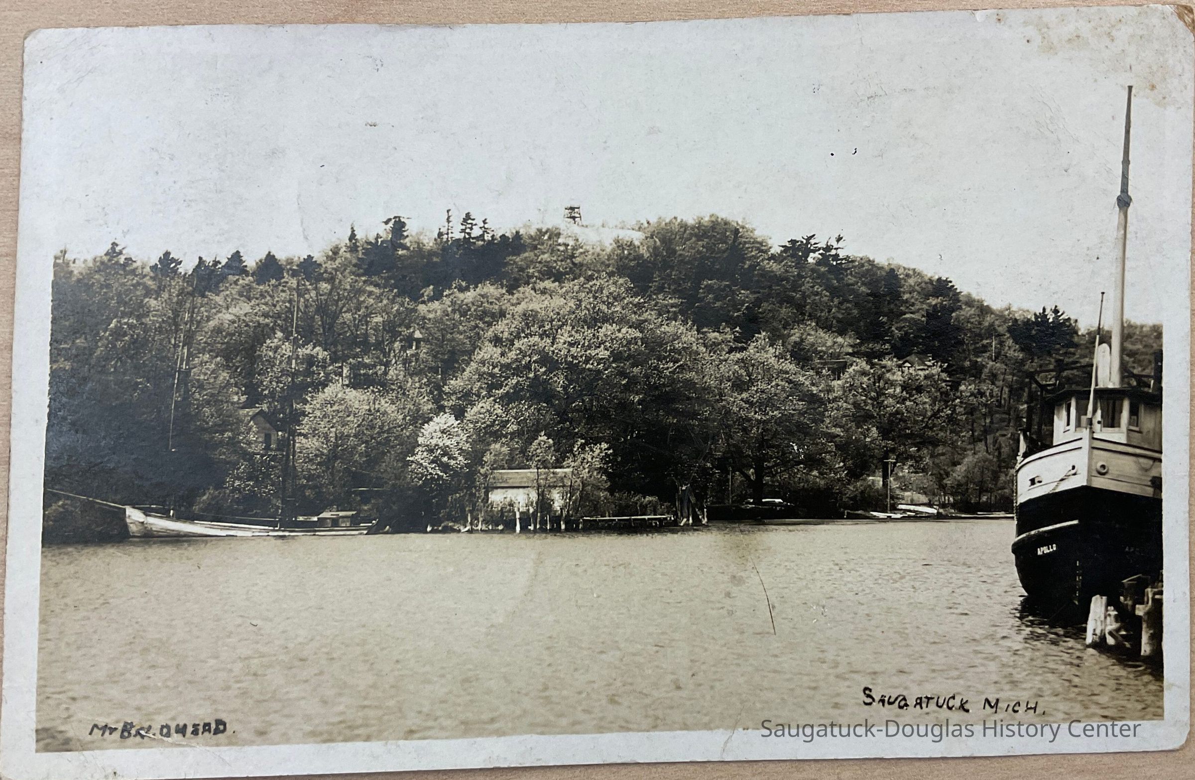 Mt. Baldhead Saugatuck, MI picture number 1