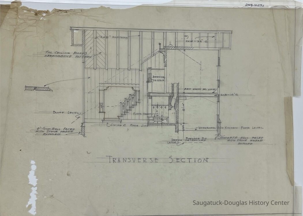 Tansverse Section (Nies) picture number 1