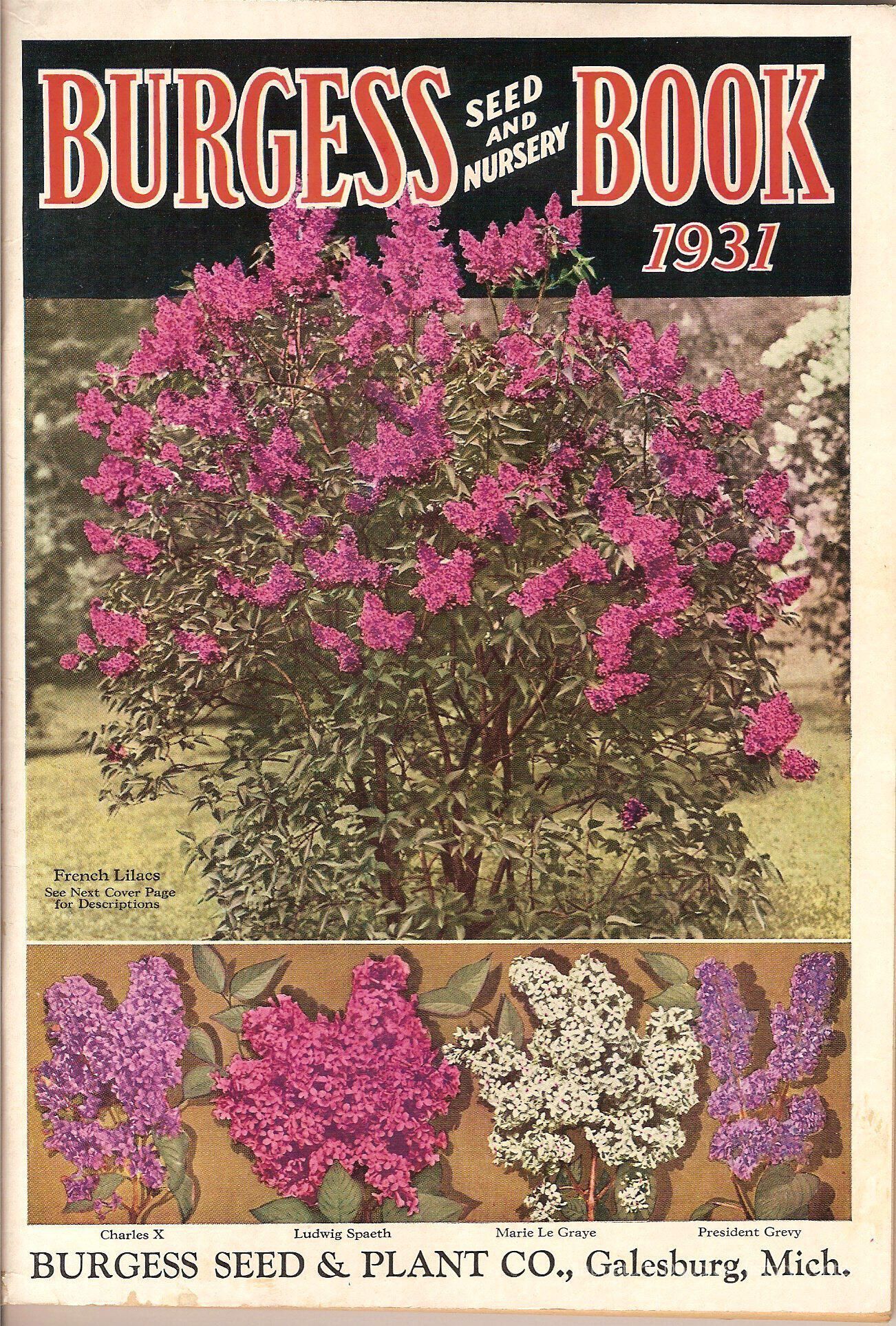 Seed book 2007.12.1; Origsize: 6.5