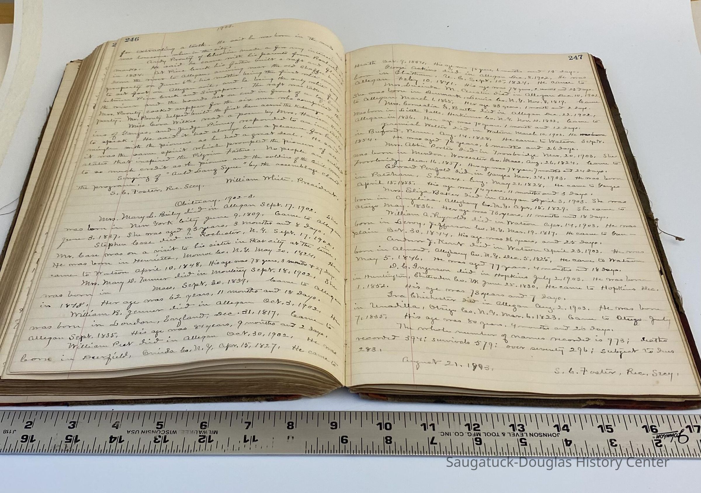          Sample of handwritten entries from “The Records of the Pioneer Society of Allegan County”. First entry is 1875, last is 1903.
   