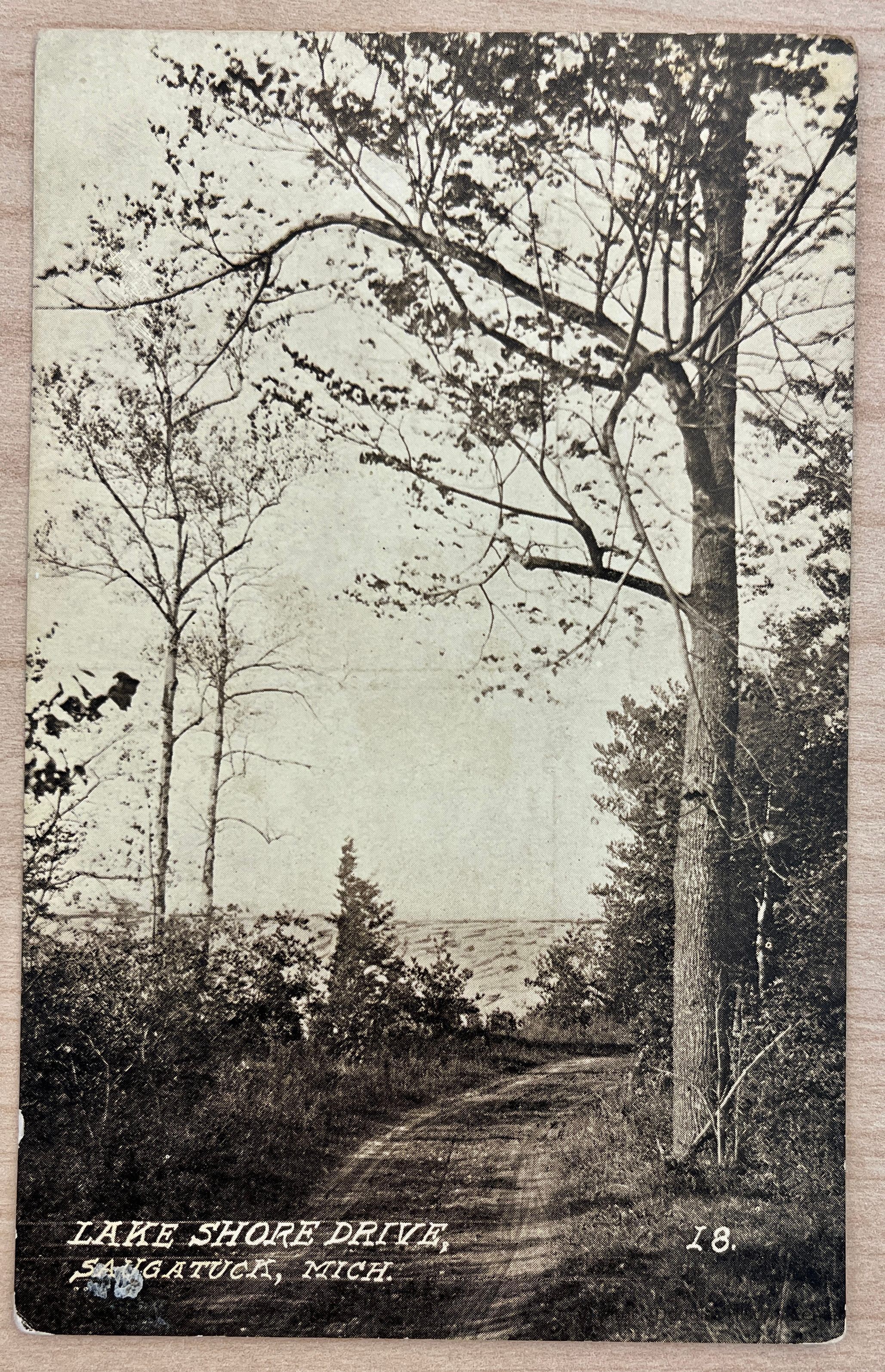 Lake Shore Drive, Saugatuck, Mich. picture number 1
