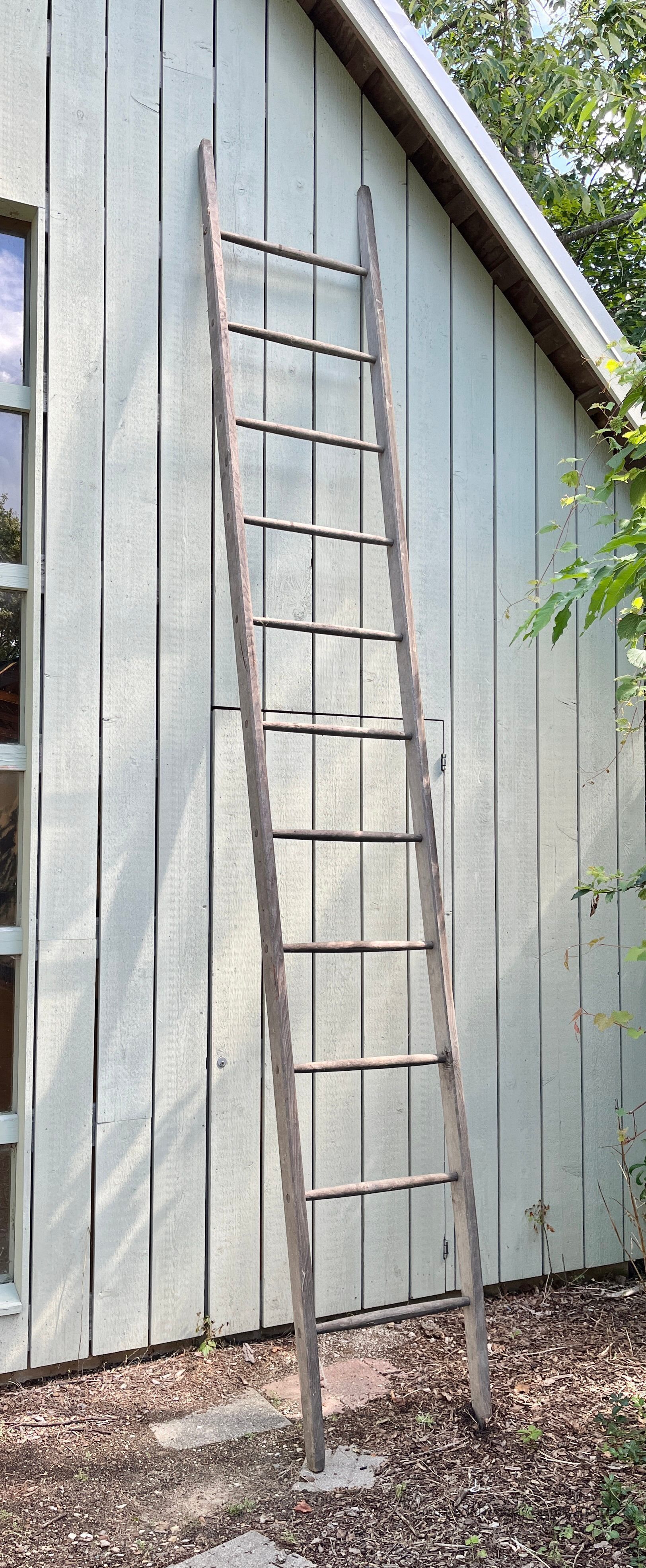         Ladder, orchard picture number 1
   