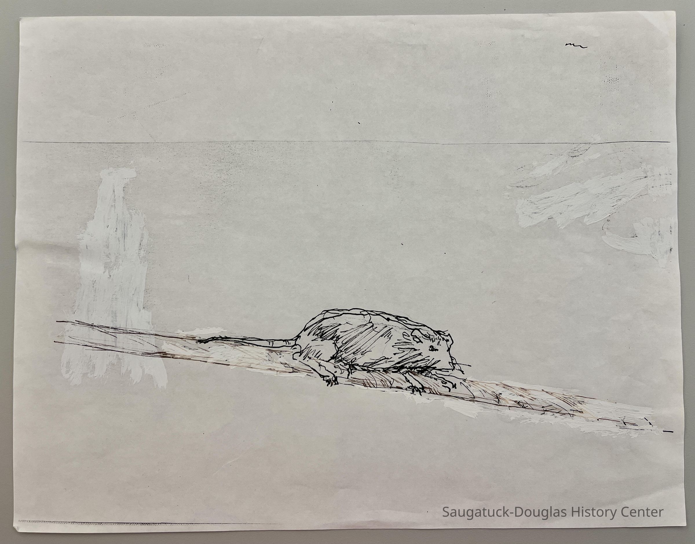 Rat picture number 1