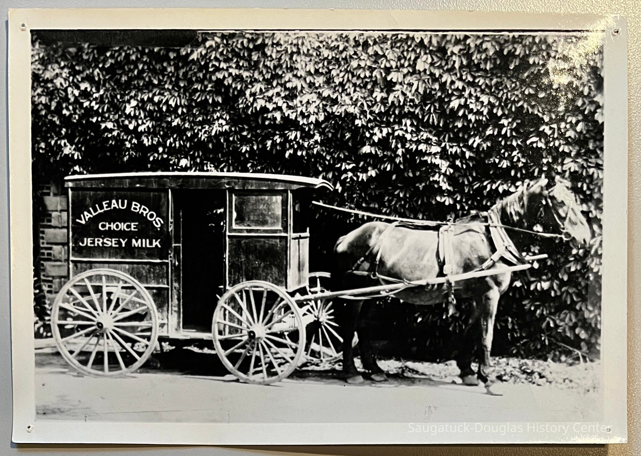          Valleau Bros. milk wagon picture number 1
   