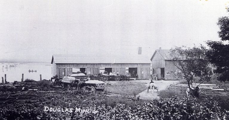          96-105-36_Payne_s_Fruit_Warehouse_Douglas.jpg 1.4MB
   