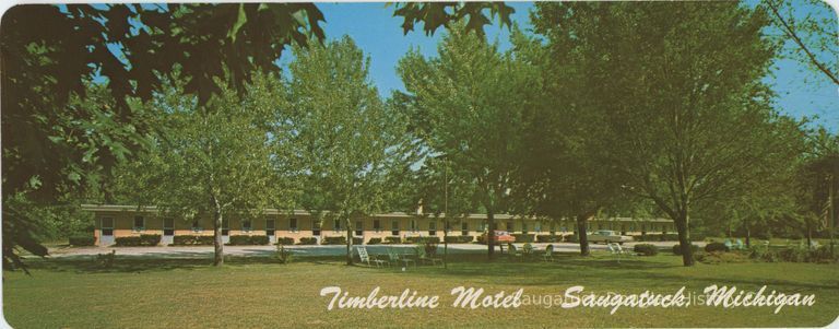          Timberline Motel Postcard
   