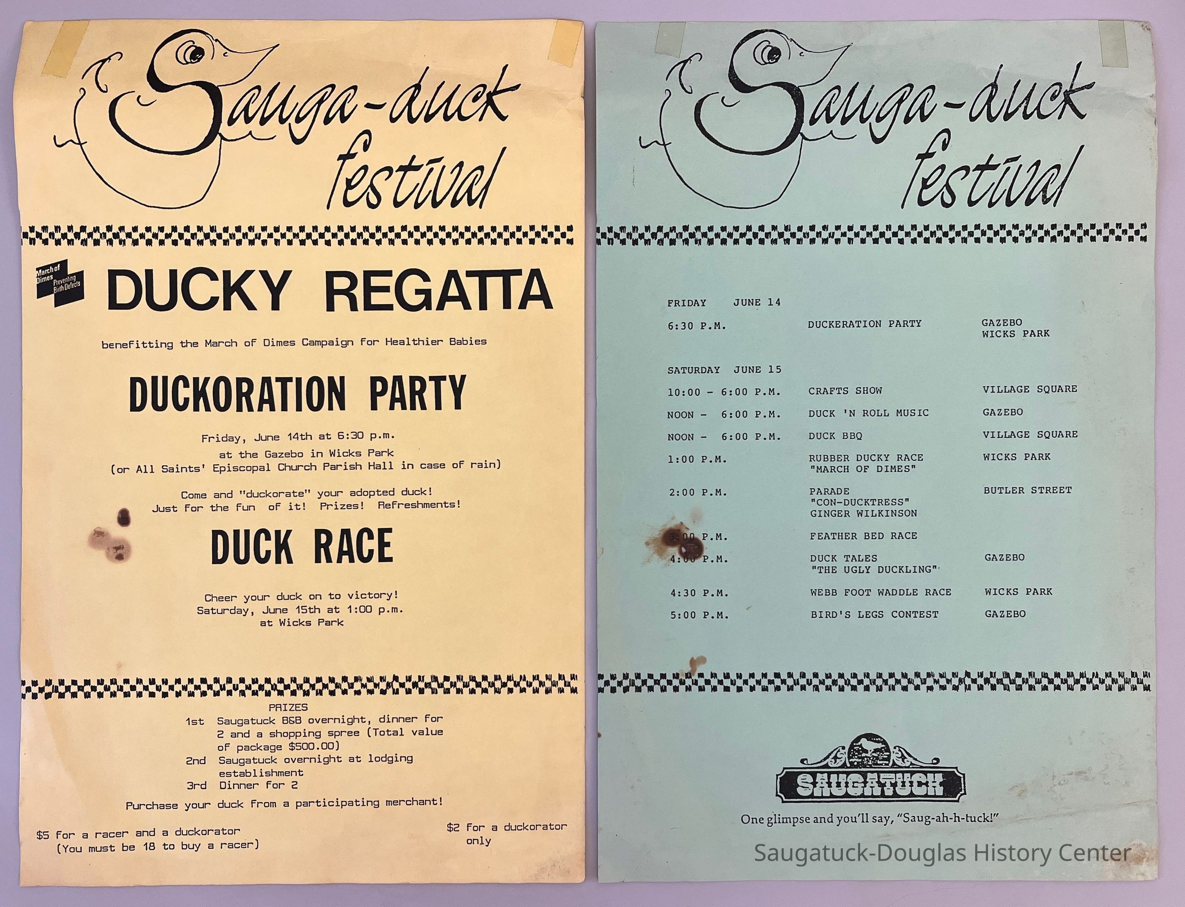          Sauga-Duck Festival picture number 1
   
