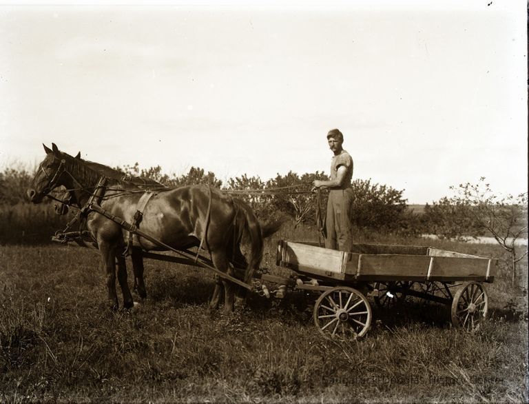          ManWagonHorses.jpg 1.6MB - Digital file on Jack Sheridan Drive 2021.72.02; Man standing in a flat wagon pulled by pair of dark horses in an unknown orchard.
   