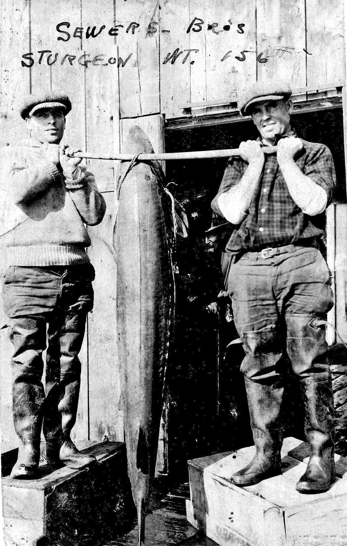          SewersSturgeon.jpg 994KB; Likely twin brothers Rube and Frank Sewers
   