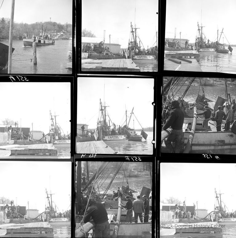Commercial fishing 1943-1961 - Image 31