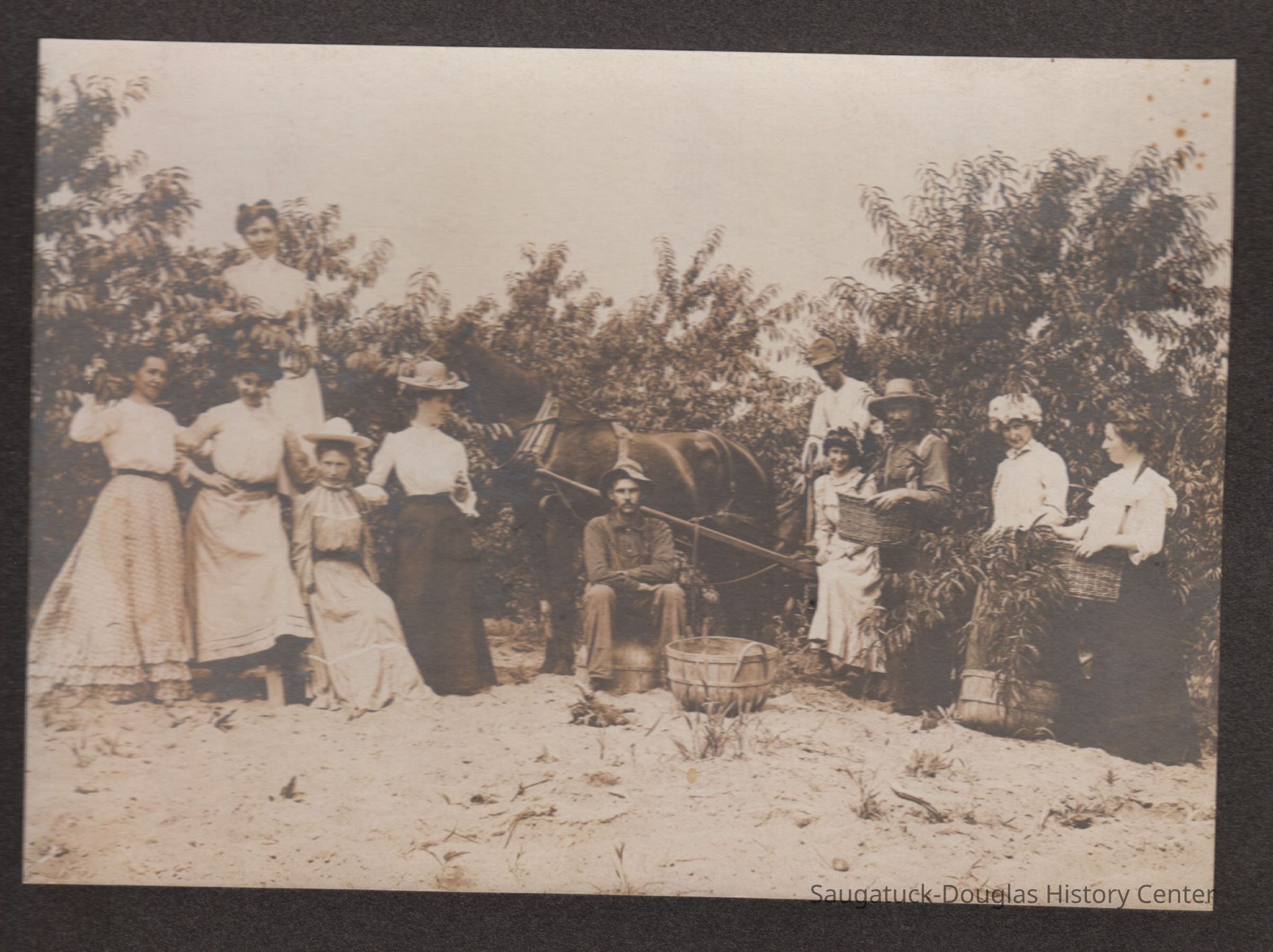          EnsfieldsInOrchard.jpg; Forrest Grosvernor E., Orrin L.E., Mary Florence E., Christopher E. Ensfield, Sarah Emeline Harmon Ensfield, -- Harmon
   