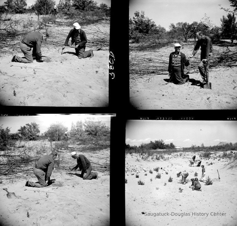          Hoffman dig 1958 picture number 1
   