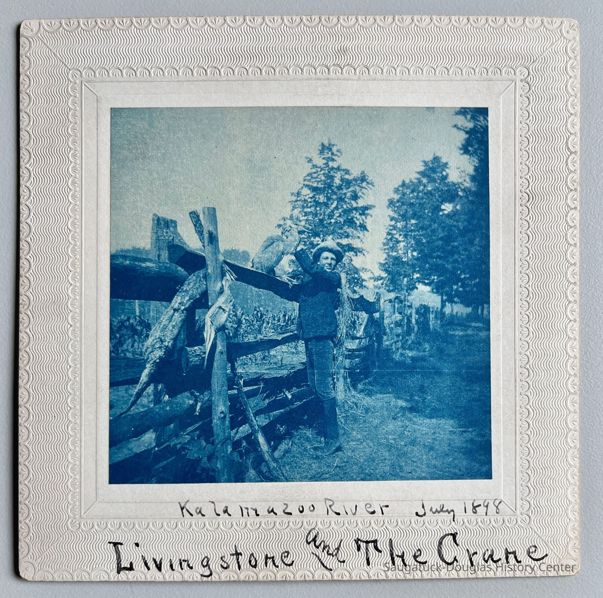 Livingstone and the Crane picture number 1