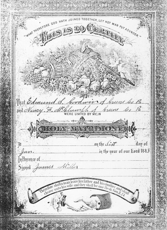 Edmund S. Goodwin and Nancy F. (McGlumphy) Goodwin Family Bible - PDF (Pages 01-04): See WEB LINKS to DOWNLOAD high-resolution image.