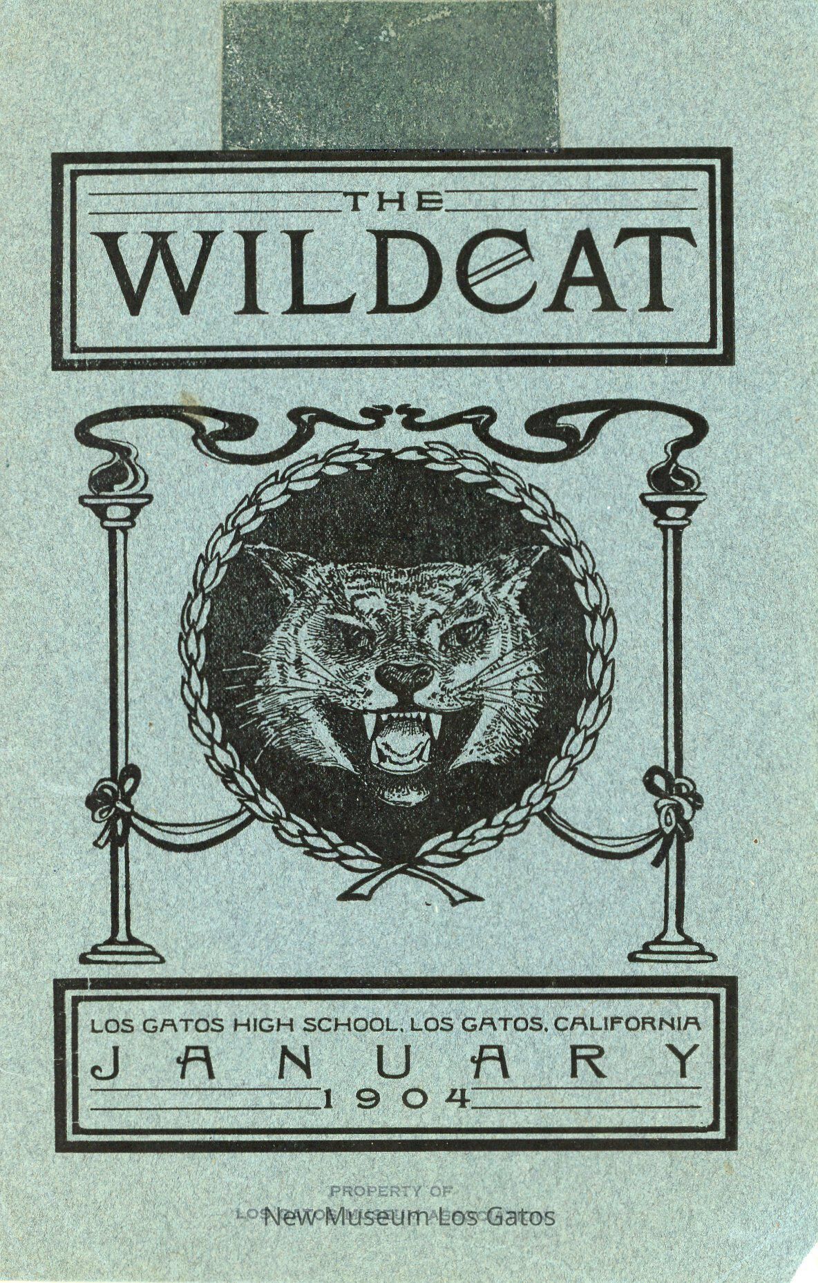 Collections Lab - Cabinet 5