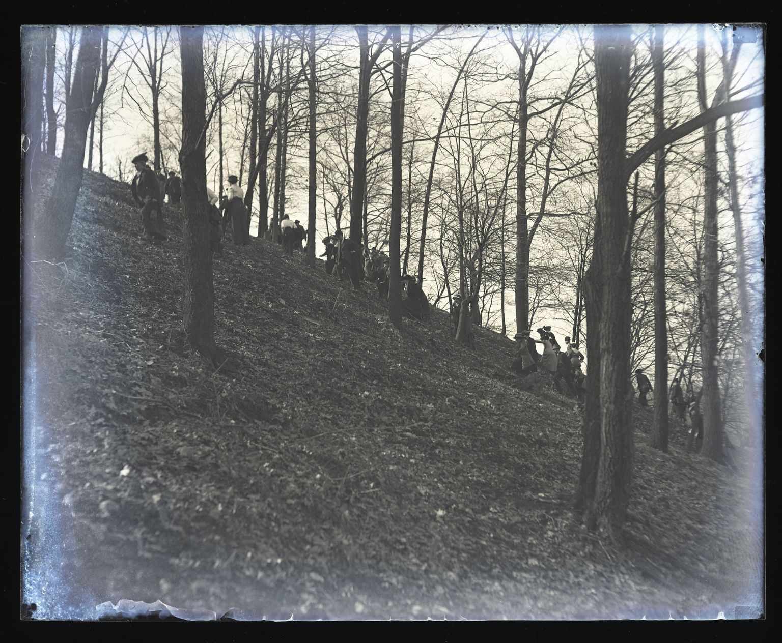 Arthur Anderson Glass Plate Negatives