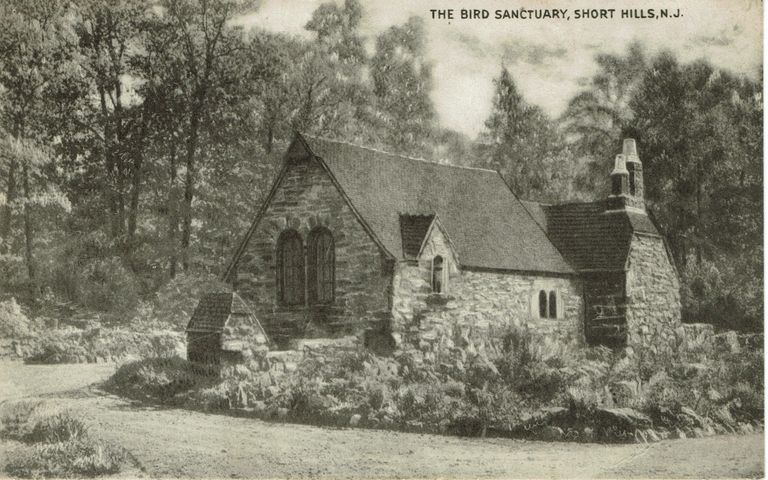          Arboretum: The Bird Sanctuary, 1953 picture number 1
   