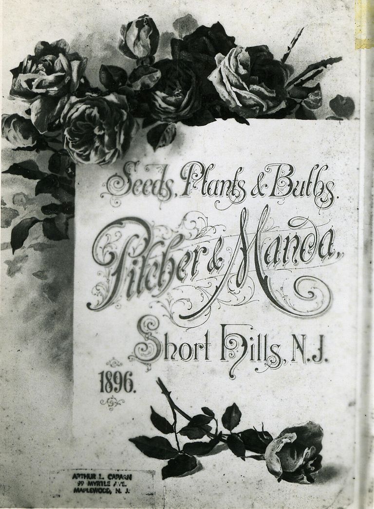          Image Id #128; Catalog Cover
   