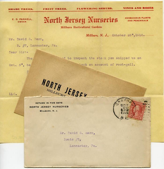          North Jersey Nurseries envelope & contents October 26,1916 picture number 1
   