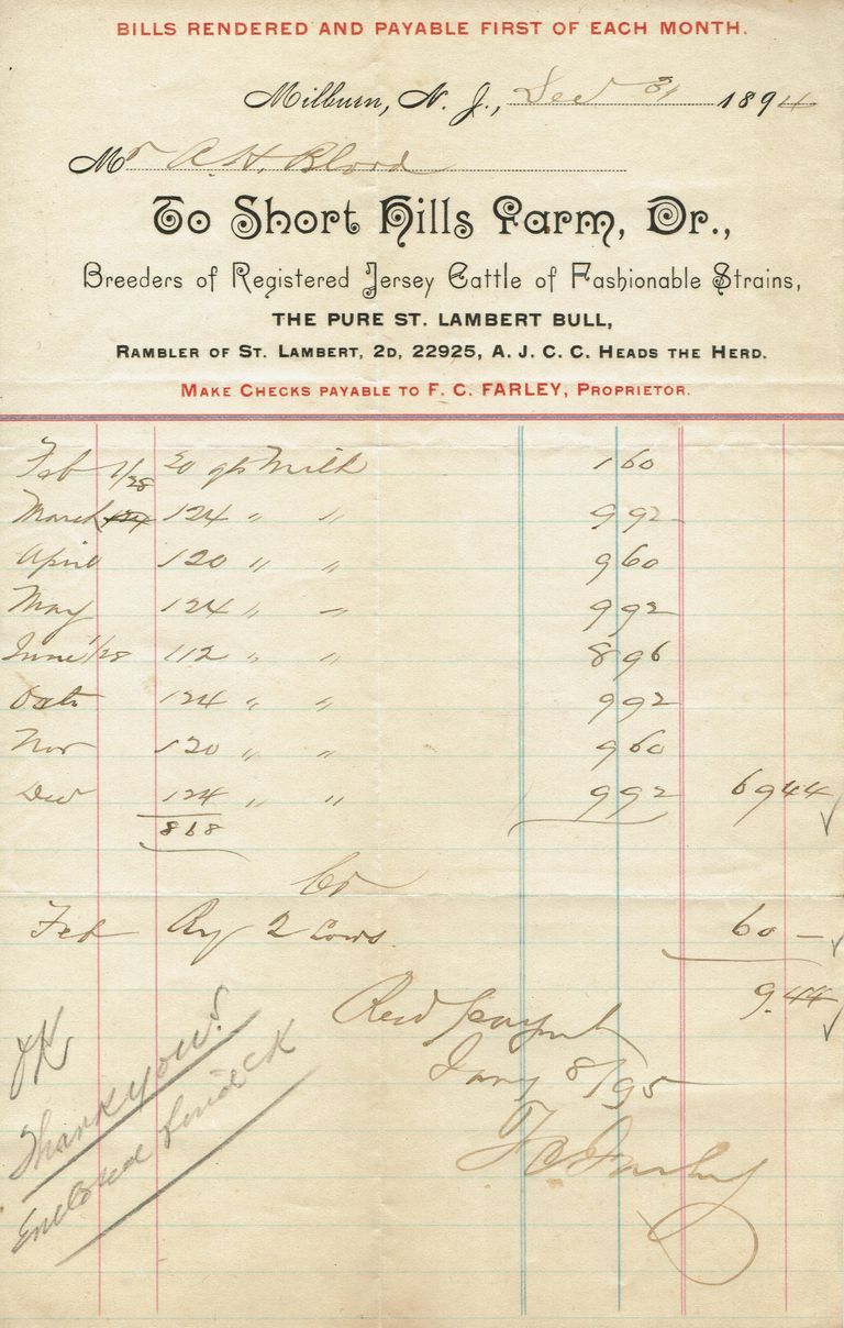          Blood: Short Hills Farm Receipts, 1894-5 picture number 1
   