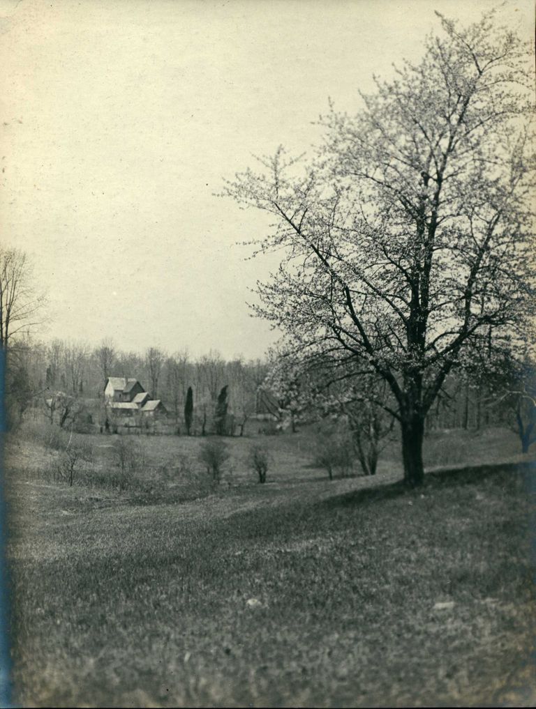          Hartshorn Photo Album 2: On Brantwood picture number 1
   