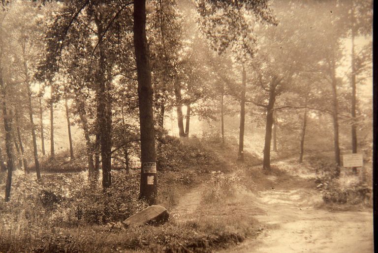          Arboretum: Entrance to Arboretum by Cora Hartshorn picture number 1
   