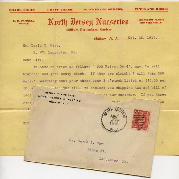          North Jersey Nurseries envelope & letter October 25, 1916 picture number 1
   