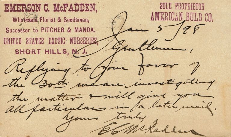          Pitcher and Manda: American Bulb Company Postcard from Emerson McFadden, 1899 picture number 1
   