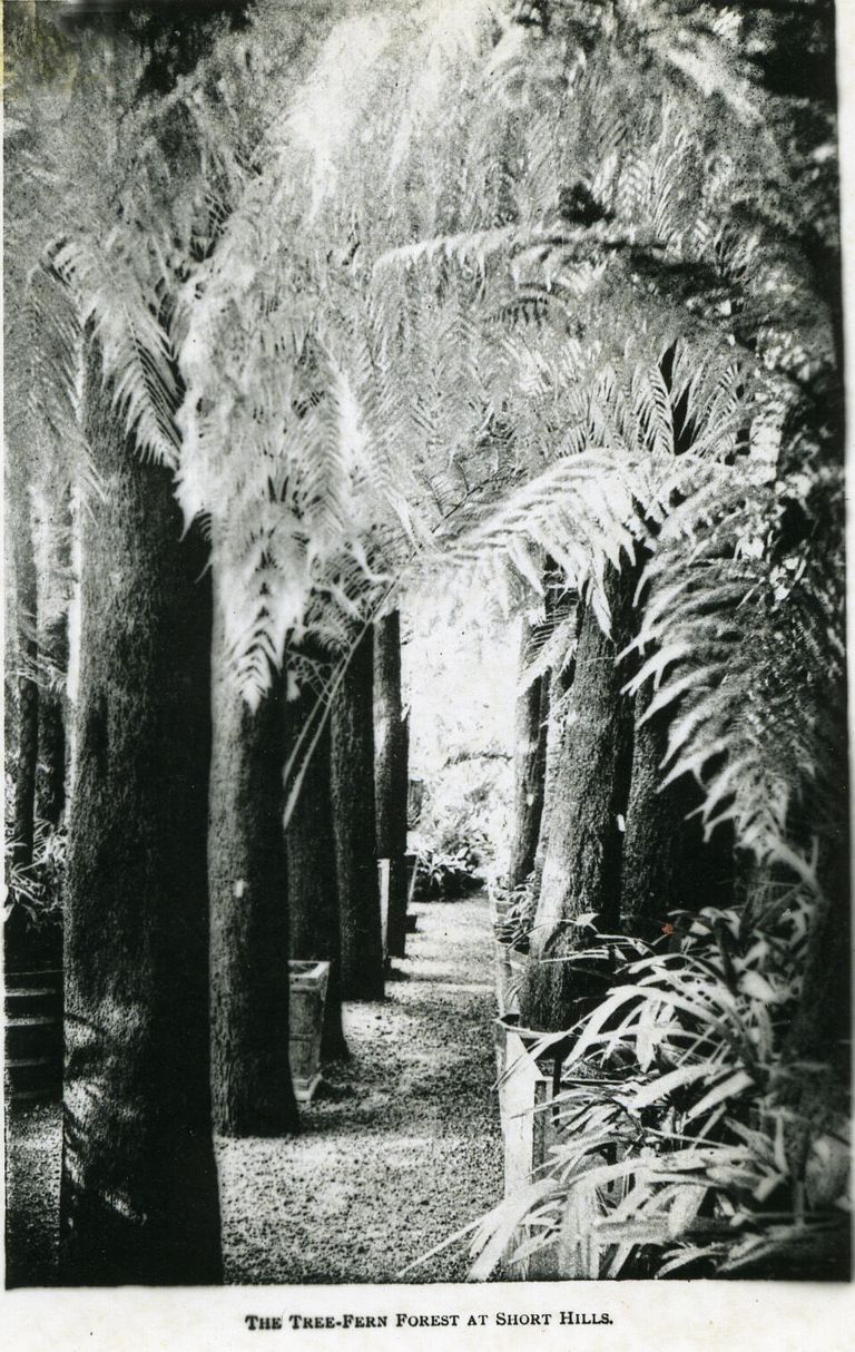          Pitcher & Manda Proprietors; Photo Id #133
   