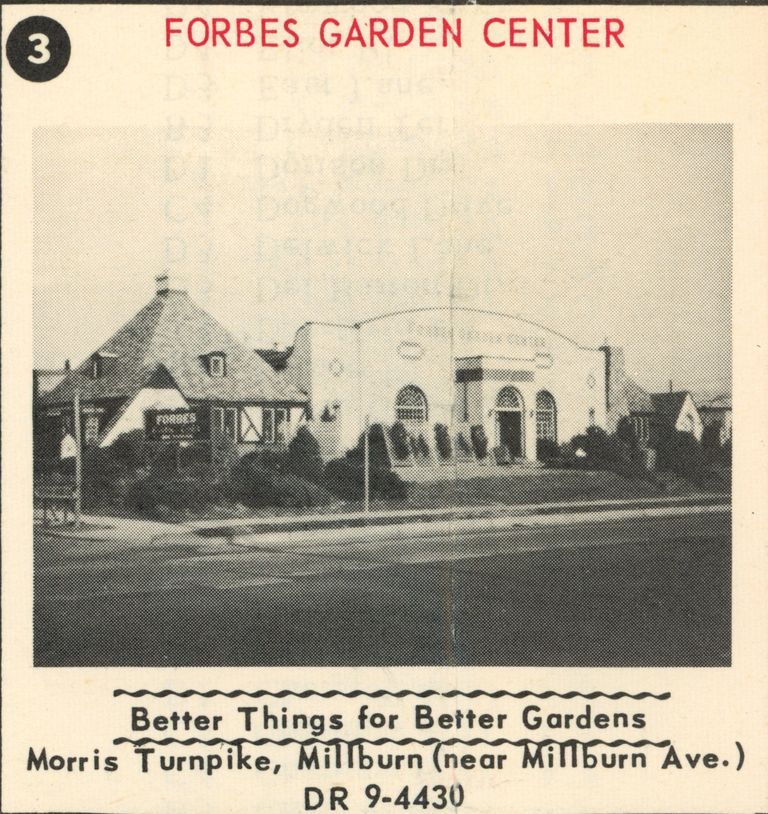          Forbes Garden Center, Morris Turnpike, 1955 picture number 1
   