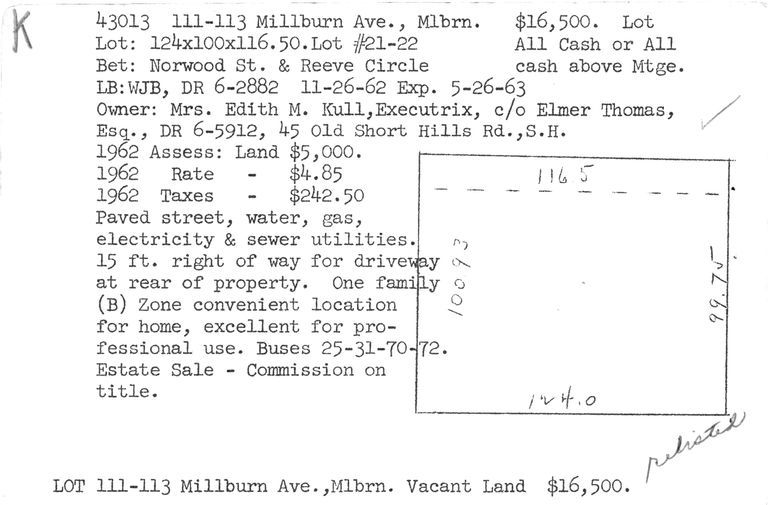         111-113-MILLBURN-AVENUE picture number 1
   