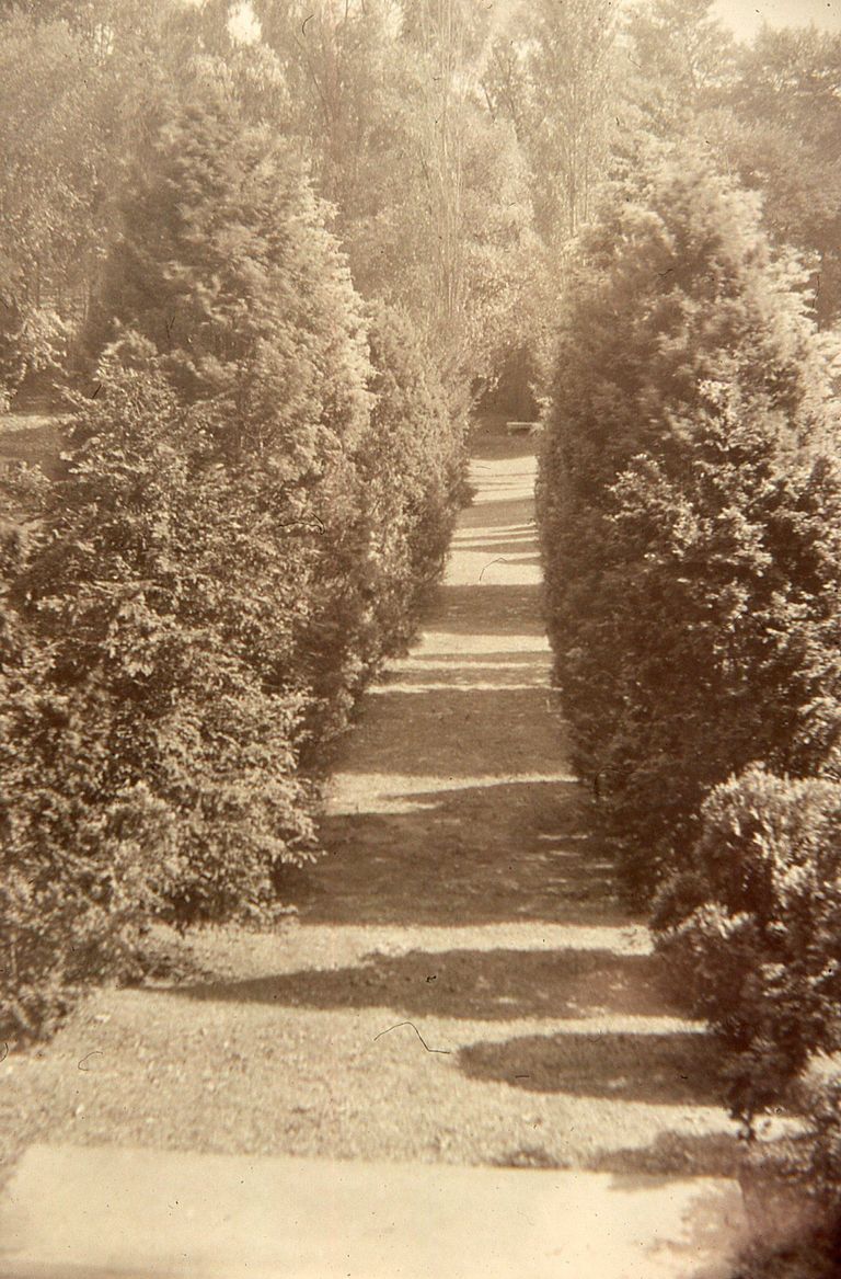          Hartshorn: Walkway at the Rear of the Hartshorn Home picture number 1
   