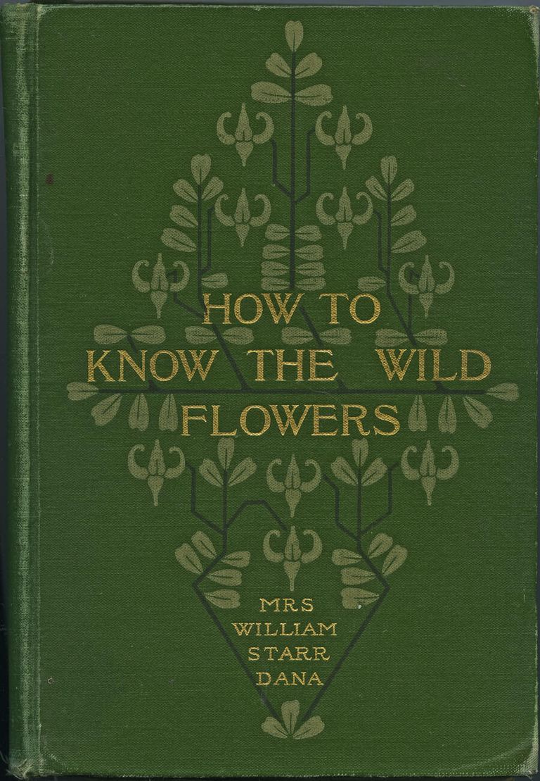          Hartshorn: How to Know the Wild Flowers, 1903 picture number 1
   
