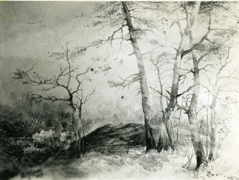         Possibly depicts Washington Rock; Image Id # 140
   