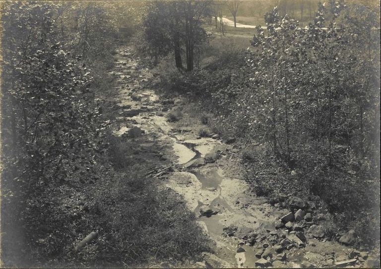          Hartshorn: Cora Hartshorn Photograph of South Mountain Reservation picture number 1
   