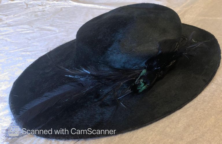          Hat: Black Hat with Crow and Feather Ornament picture number 1
   