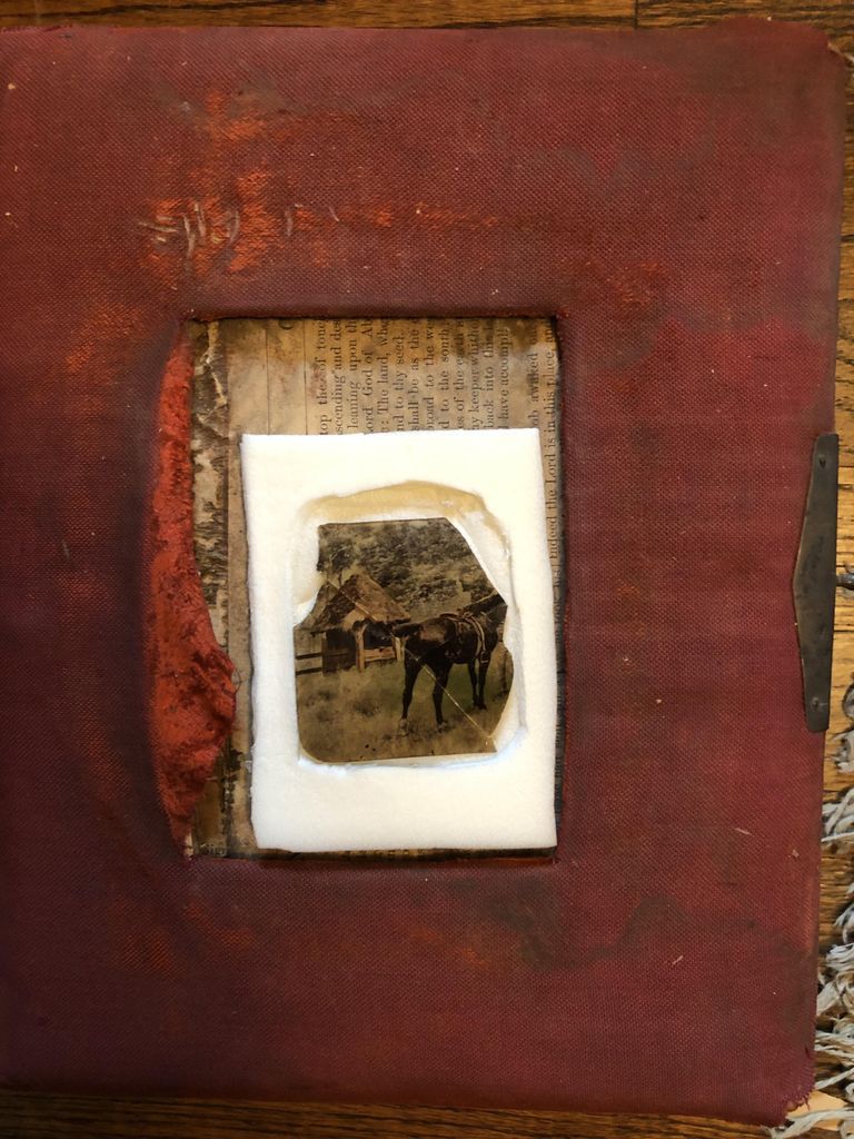          Ellis Family Photo Album 2, 1870s-1880s picture number 1
   