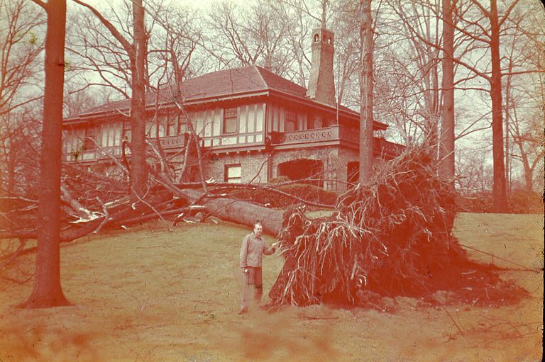          Hurricane: Aftermath, November 24, 1950 picture number 1
   